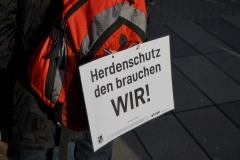 Demonstration des Hessischen Verbandes für Schafzucht- und Haltung e. V. am 15.01.2020 in Wiesbaden