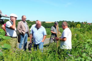 Blühstreifen der Hegegemeinschaft Wiesbaden-Ost (HGO)