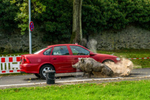 Wildunfall Crash-Test mit Wildschwein-Dummy