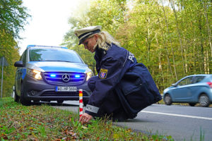 Wildunfallzeichen (WUZ)