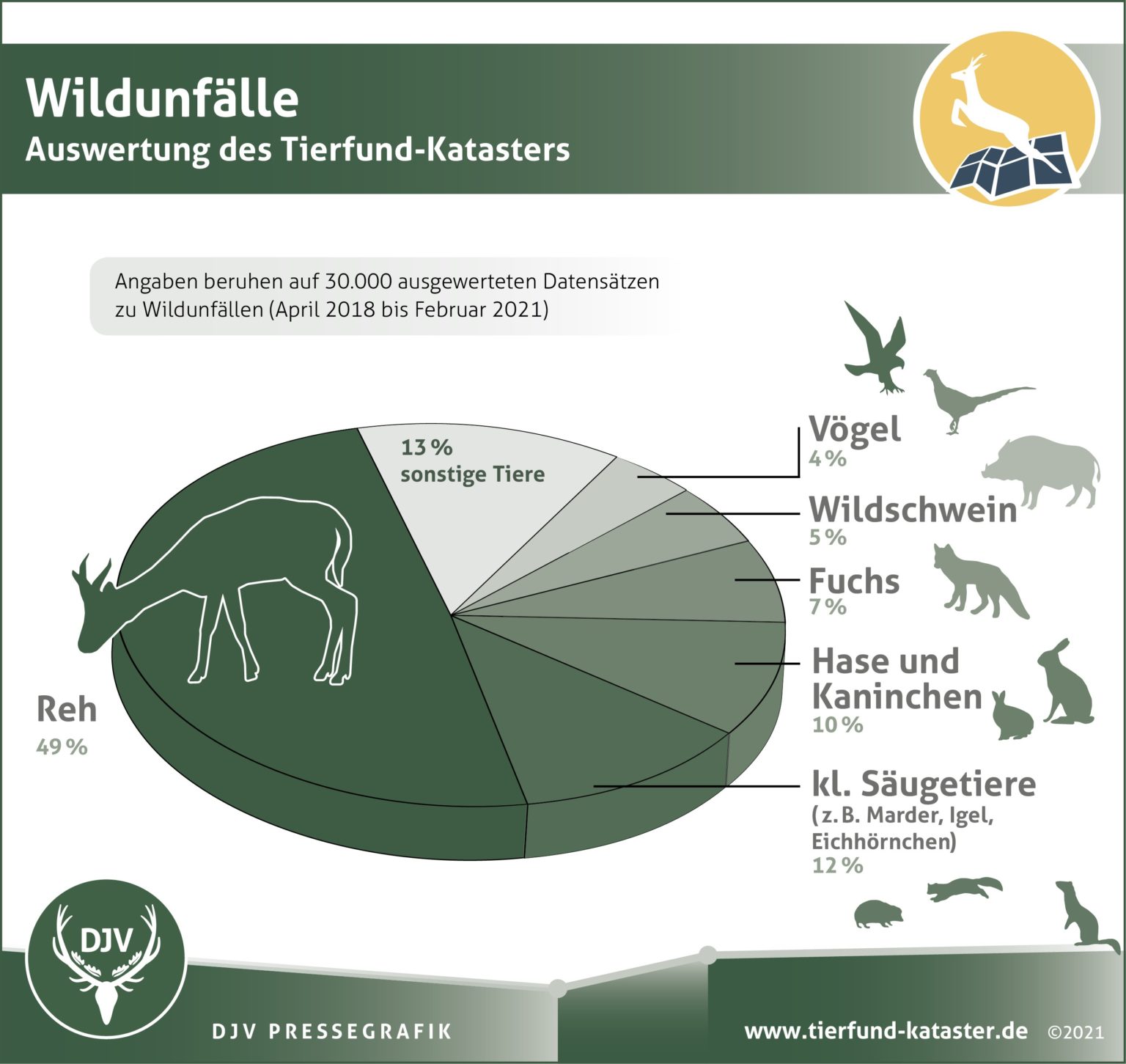 Wildunfallgefahr Steigt Nach Zeitumstellung: Die Meisten Zusammenstöße ...