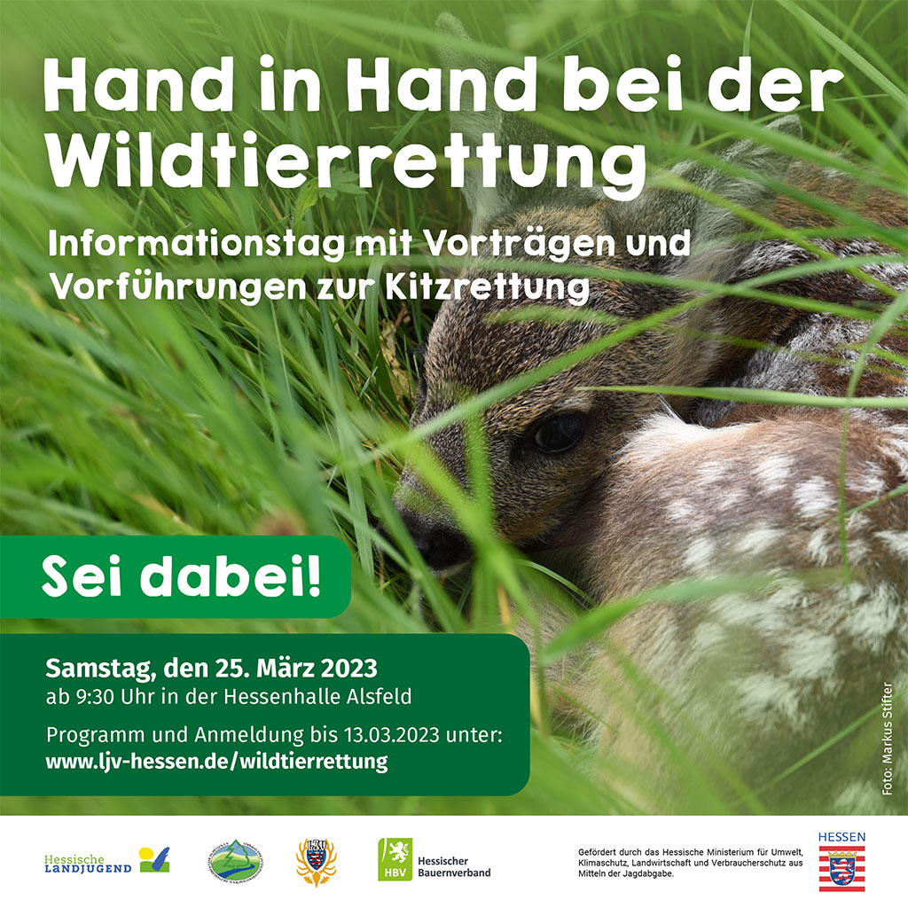 Einladung zur Veranstaltung "Hand in Hand bei der Wildtierrettung"