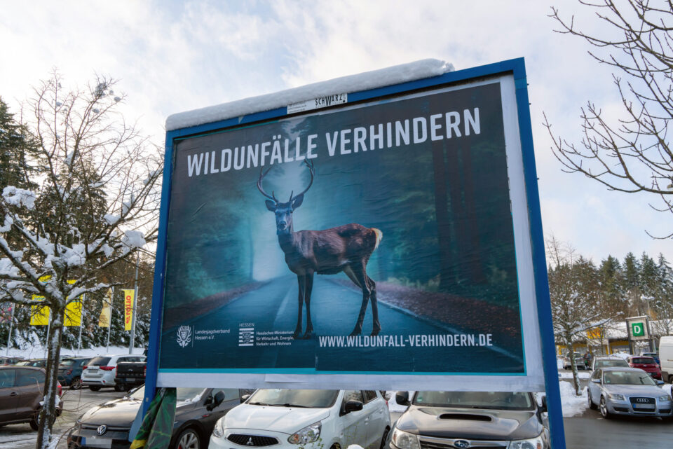 Plakat Wildunfälle verhindern