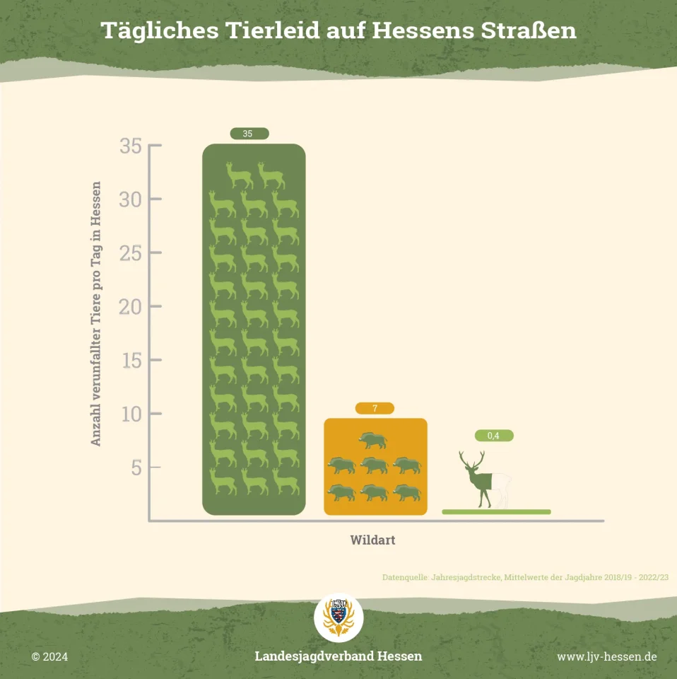 Tägliches Tierleid auf Hessens Straßen
