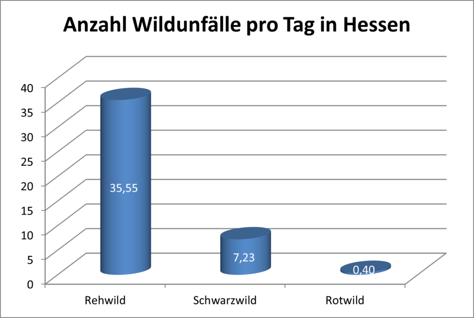 Wildunfälle pro Tag in Hessen