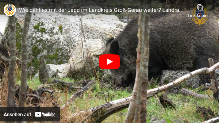 Wie geht es mit der Jagd im Landkreis Groß-Gerau weiter?