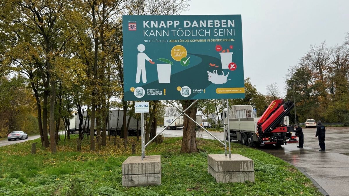 PM „Dein Handeln zählt!“ – Hessen startet Öffentlichkeitskampagne und neue Webseite zur Aufklärung über die Afrikanische Schweinepest (ASP)