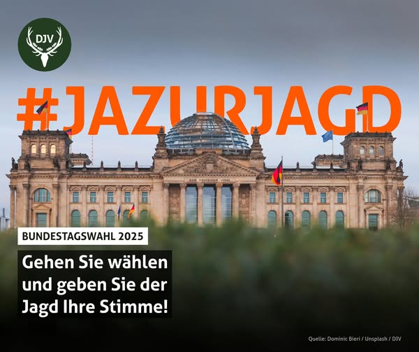 Bundestagswahl am 23.02.2025: Die Wahllokale sind geöffnet, bitte gehen Sie heute wählen!