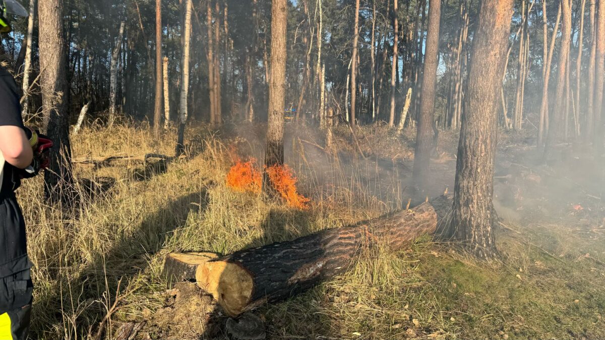 Forstministerium weist auf Waldbrandgefahr hin