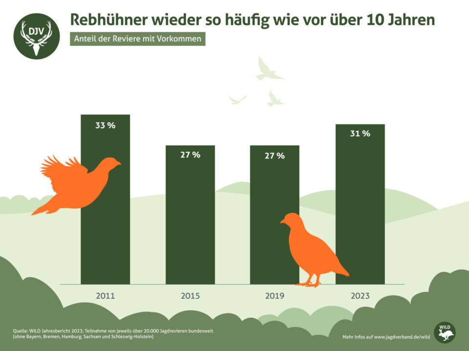 Bestandsstatistiken der vergangenen Jahre zeigen der Rebhuhnbestand erholt sich langsam.