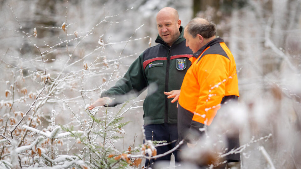 Foto: Forstminister Ingmar Jung (links) mit dem Leitenden Ministerialdirigenten Carsten Wilke (rechts im Bild) beim Pressetermin zur Vorstellung des Waldzustandsberichts, Foto: HMLU
