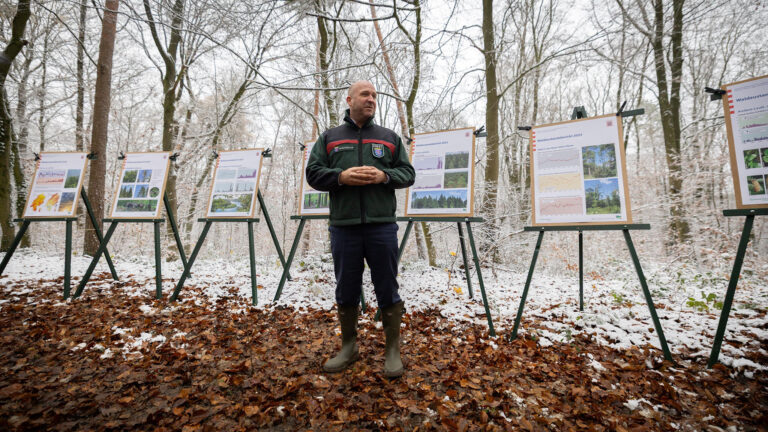 Forstminister Ingmar Jung bei der Vorstellung des Waldzustandberichts am 19.11.2025 in Königstein/Taunus. Foto: HMLU