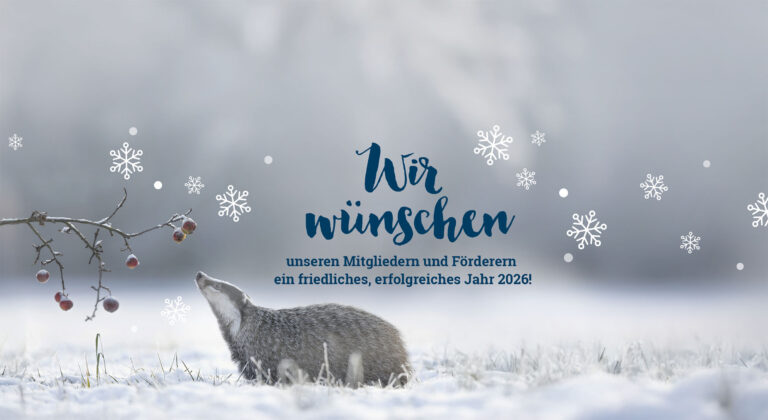 Neujahrswuensche