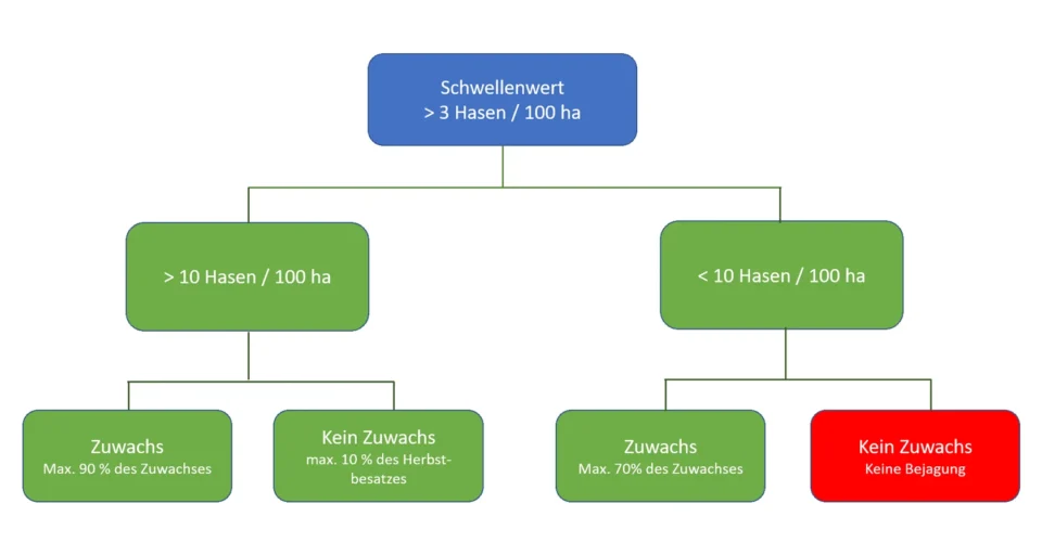 Schwellenwerte und Bejagungsempfehlung für den Feldhasen in Hessen