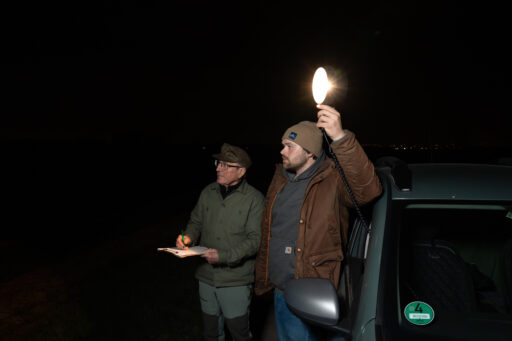 Bild Feldhasentaxation mit Suchscheinwerfer im Frühjahr.