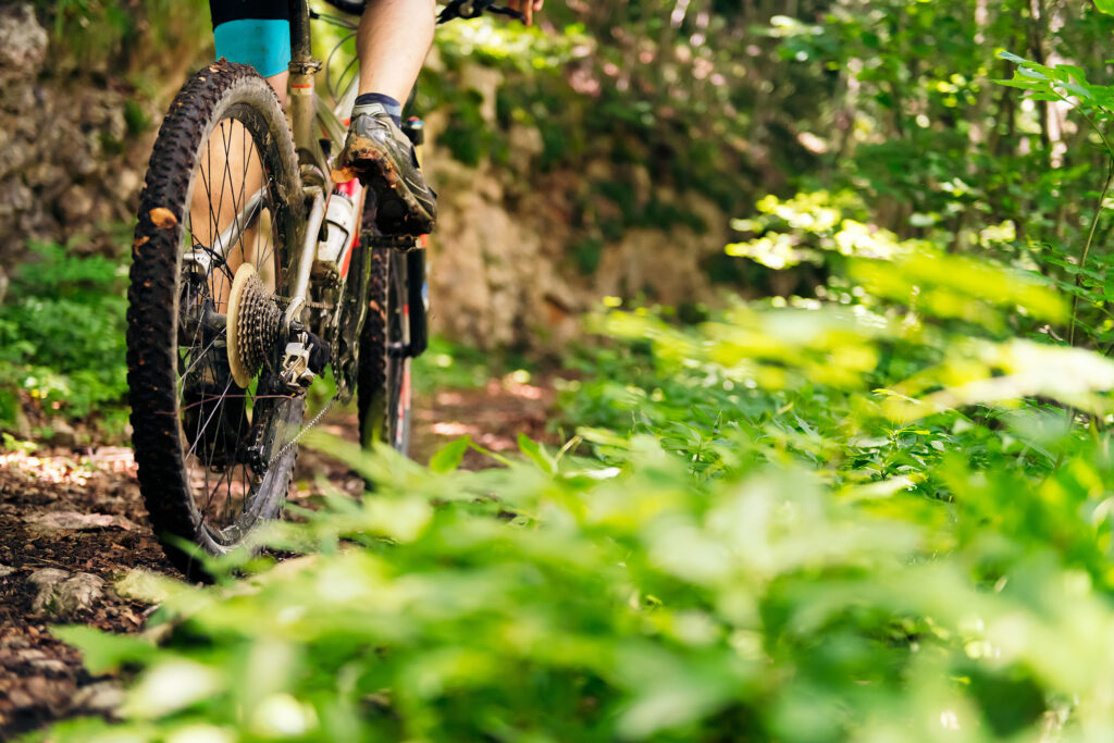Moutainbiker auf Waldweg