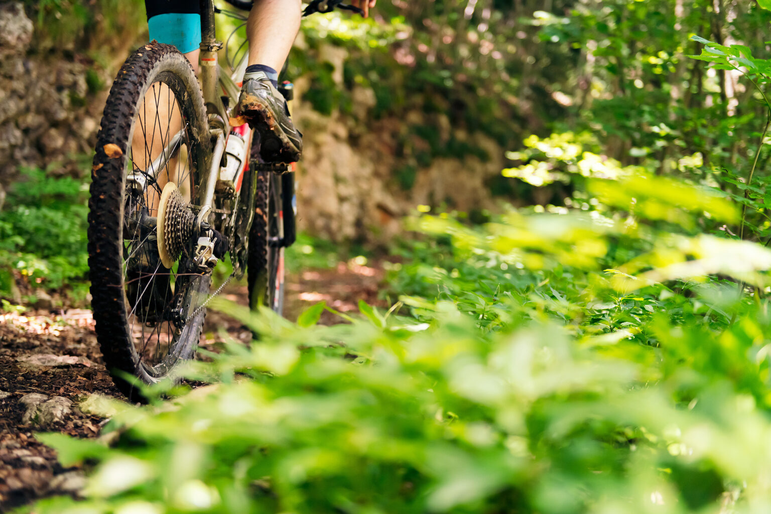 Moutainbiker auf Waldweg